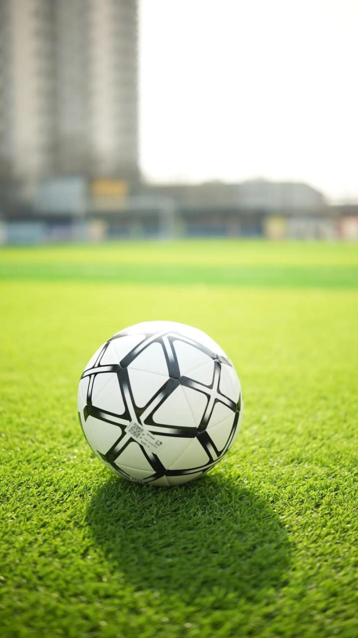 体育研究学习应用